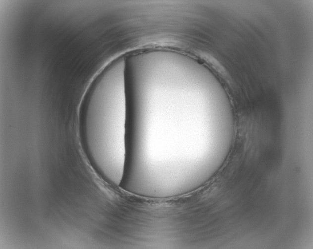 X0000069401031200605121018