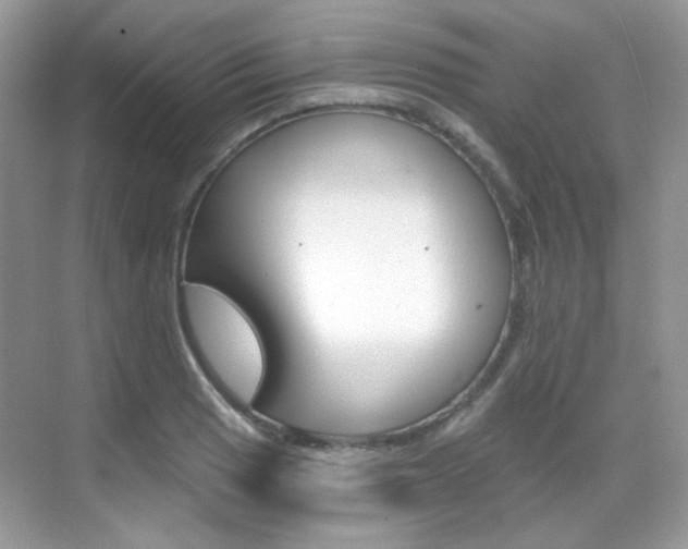 X0000069401033200605121018