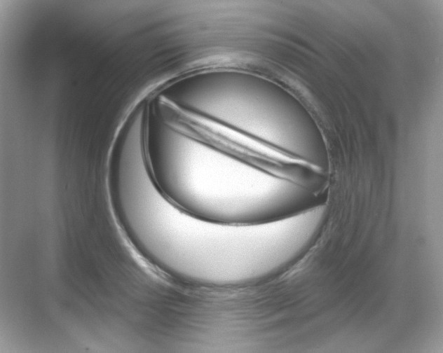 X0000069401034200605121018