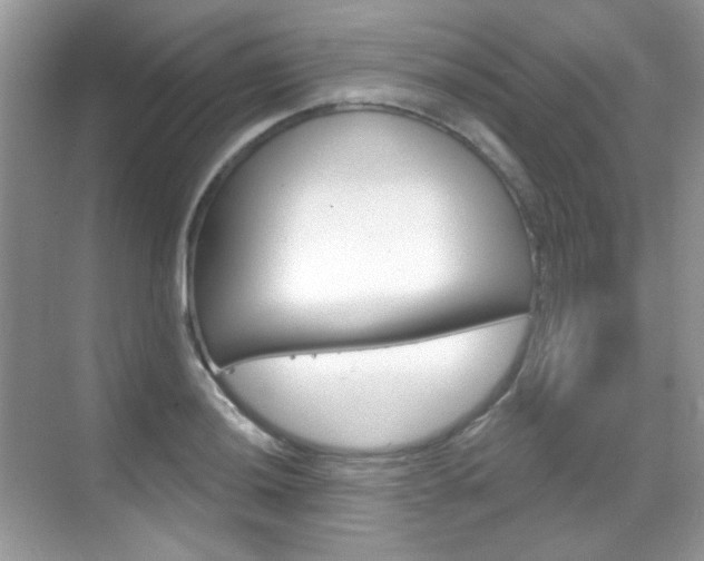 X0000069401036200605121018