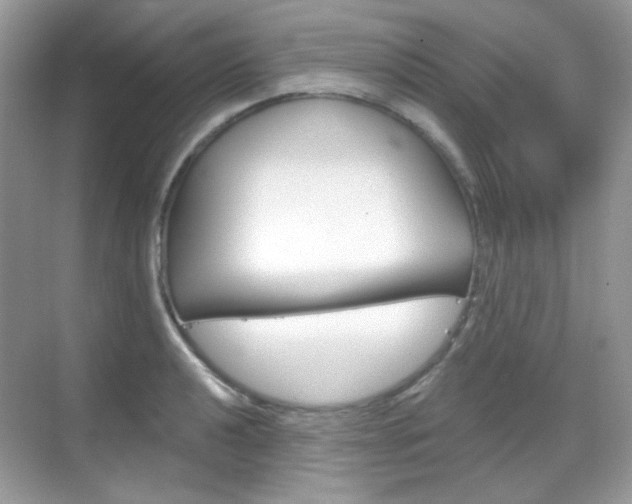 X0000069401040200605121018