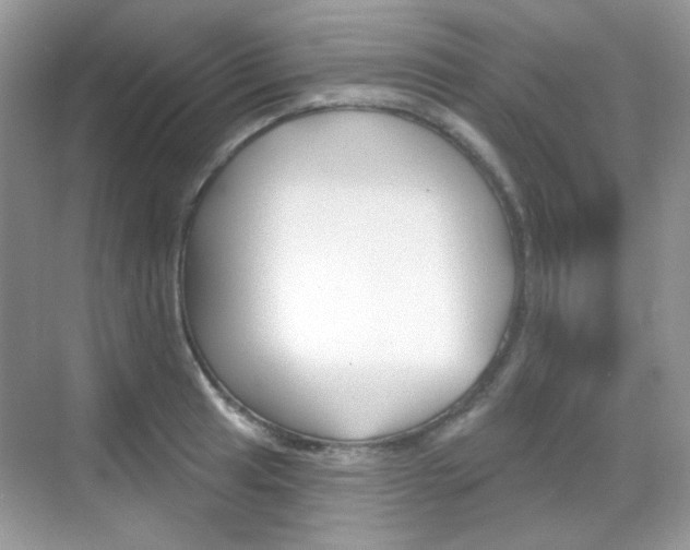 X0000069401041200605121018