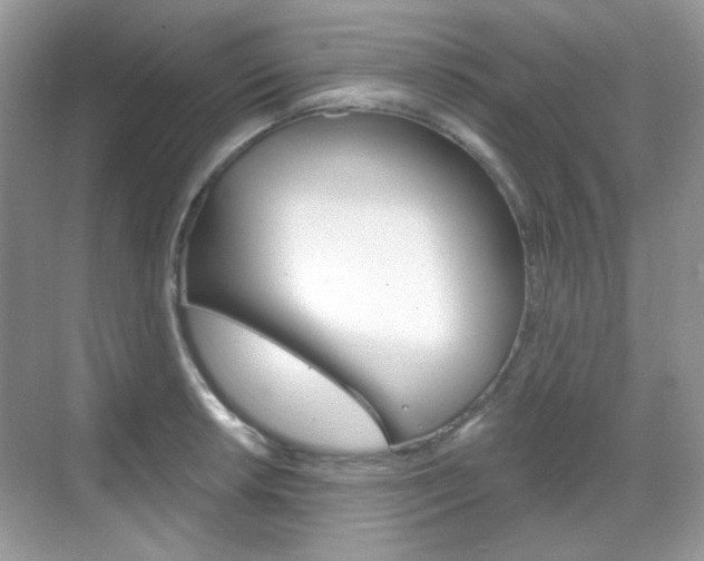 X0000069401042200605121018