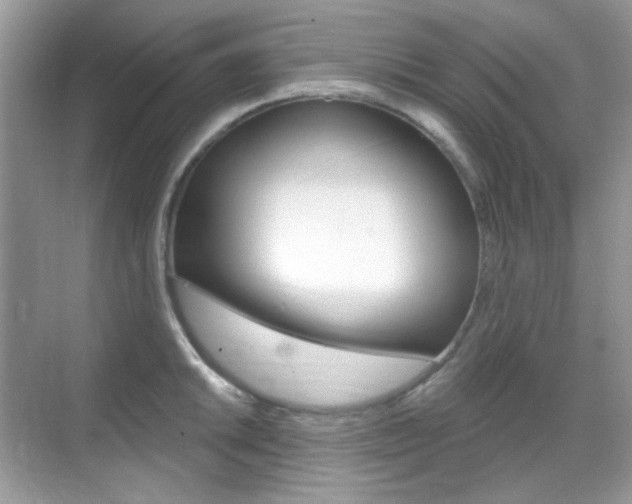 X0000069401046200605121018