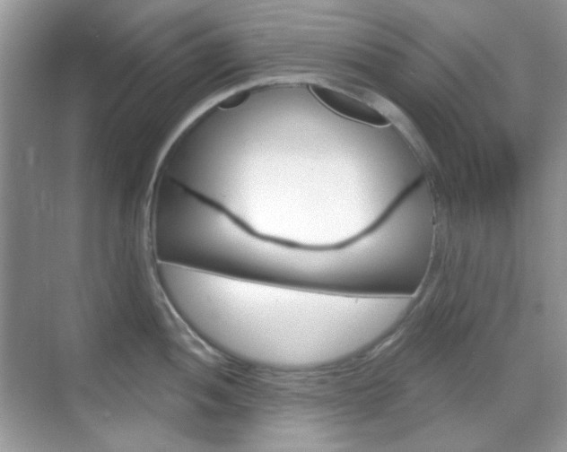 X0000069401052200605121018