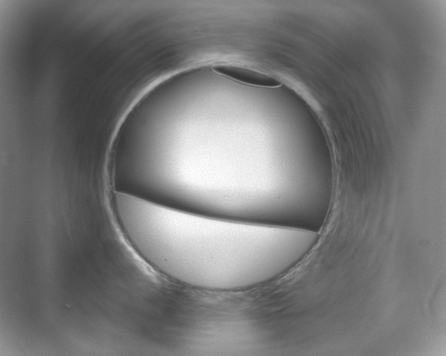 X0000069401056200605121018