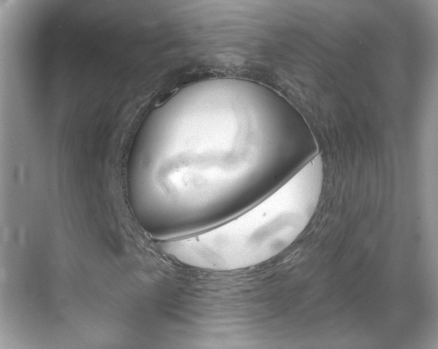X0000069401057200605121017