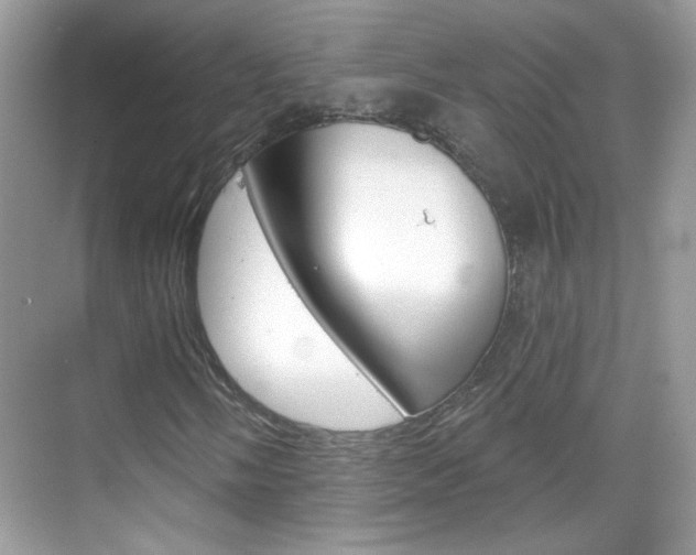 X0000069401058200605121017