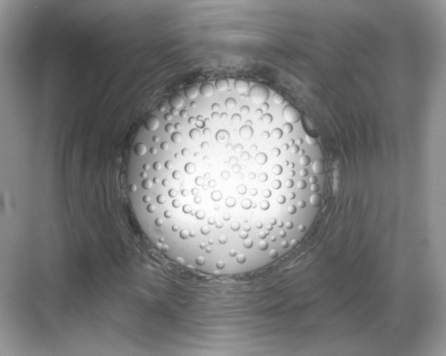 X0000069401059200605121017