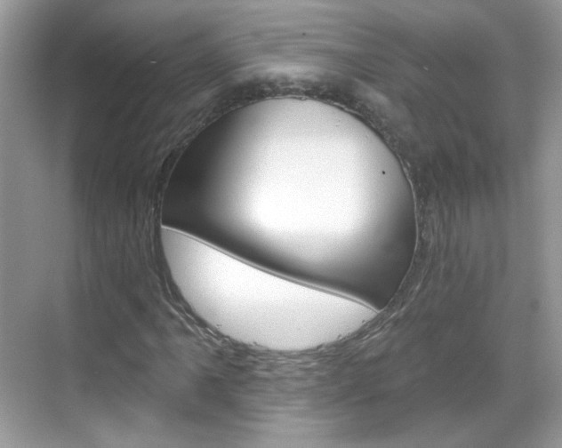 X0000069401061200605121017