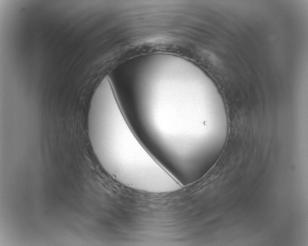 X0000069401062200605121017