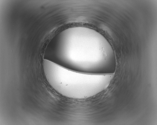 X0000069401064200605121017