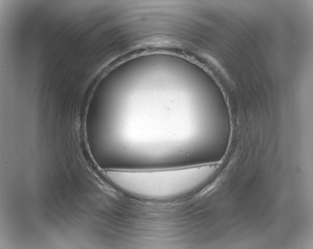 X0000069401065200605121017