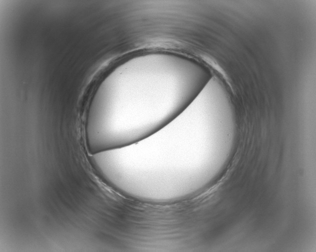 X0000069401067200605121017