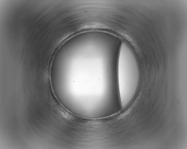 X0000069401073200605121017
