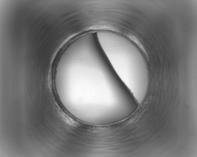 X0000069401076200605121017