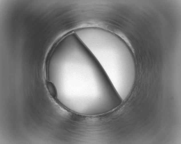 X0000069401080200605121017
