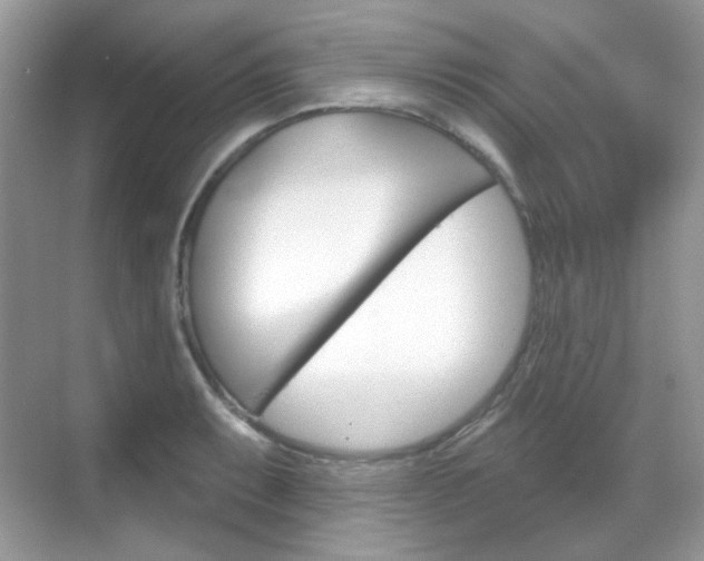 X0000069401087200605121017