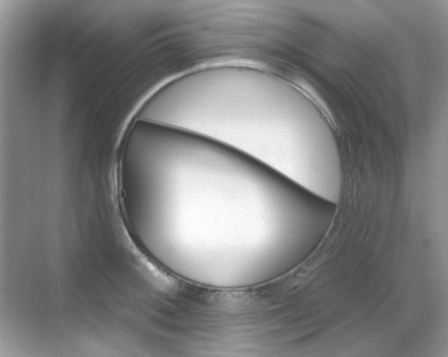 X0000069401092200605121017