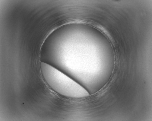 X0000069401097200605121017