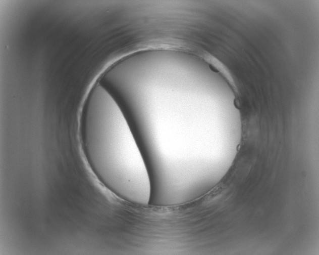 X0000069401099200605121017