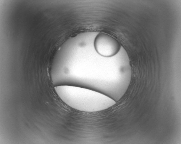 X0000069401106200605121016