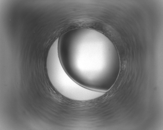 X0000069401108200605121016
