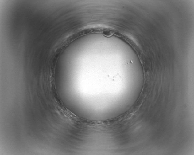 X0000069401111200605121016