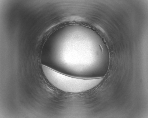 X0000069401112200605121016