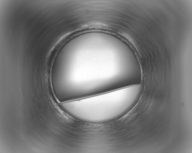 X0000069401115200605121016