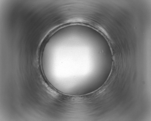 X0000069401116200605121016