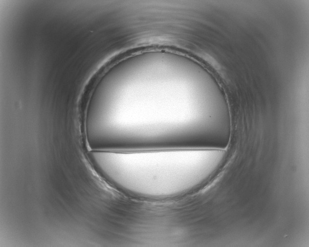 X0000069401118200605121016