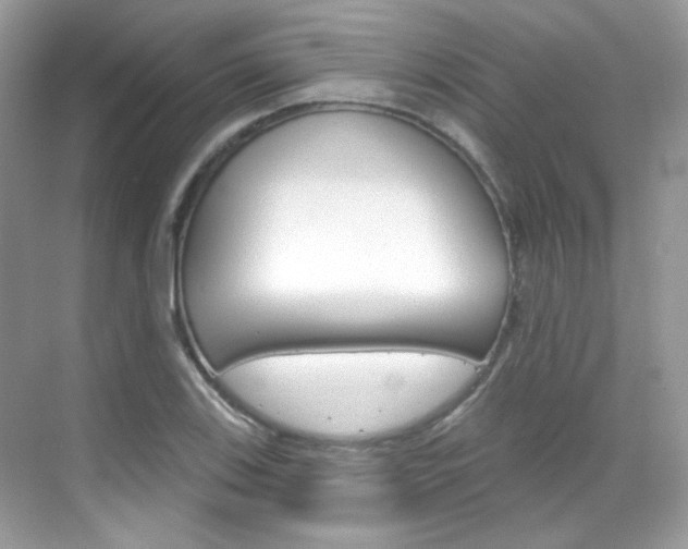 X0000069401123200605121016