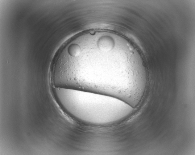 X0000069401125200605121016