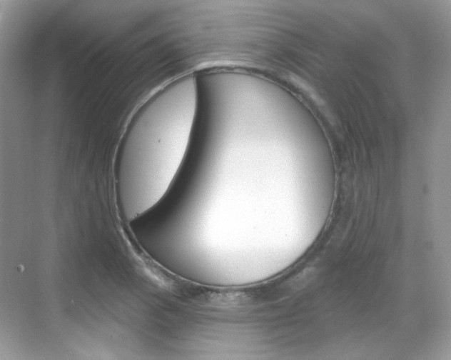 X0000069401129200605121016