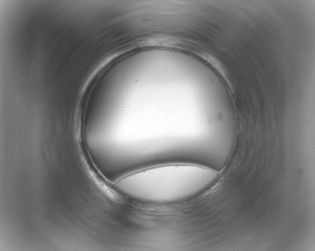 X0000069401131200605121016