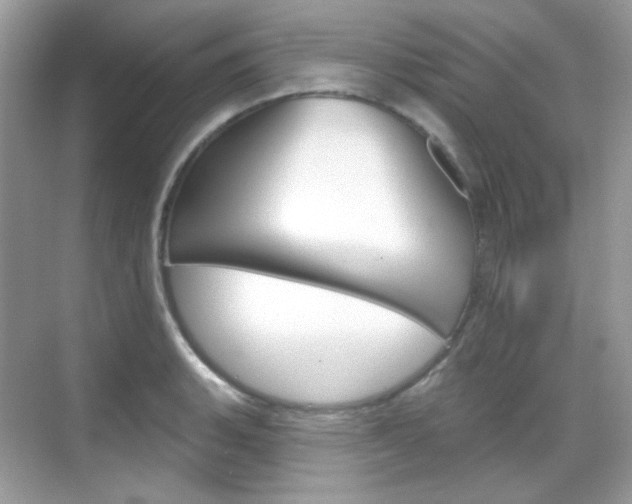 X0000069401135200605121016