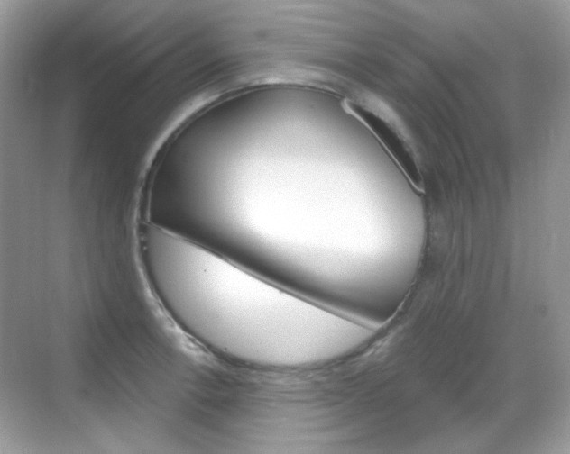 X0000069401138200605121016