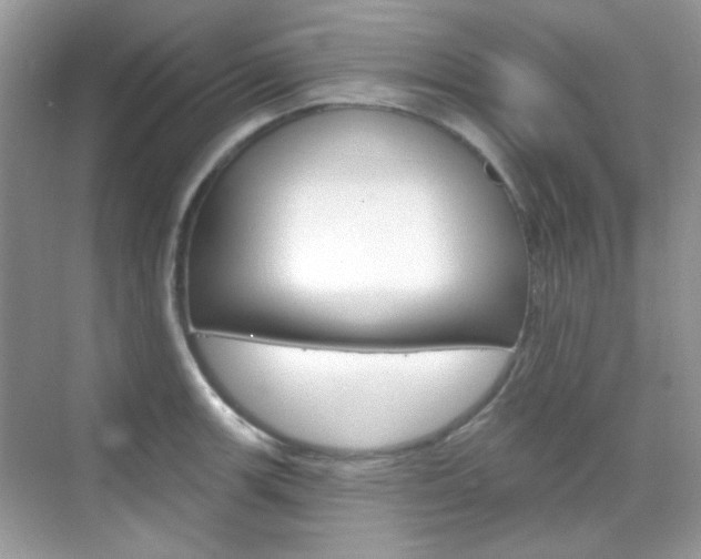 X0000069401139200605121016