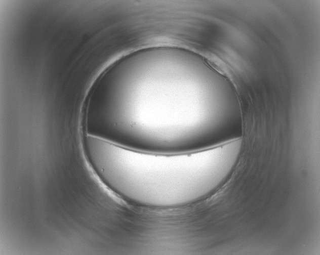 X0000069401142200605121016
