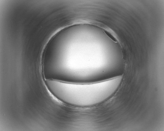 X0000069401143200605121016