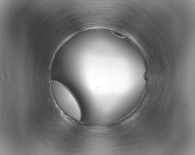 X0000069401145200605121016