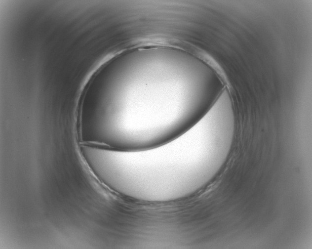 X0000069401146200605121016