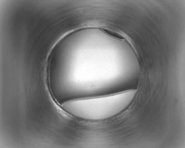 X0000069401147200605121016