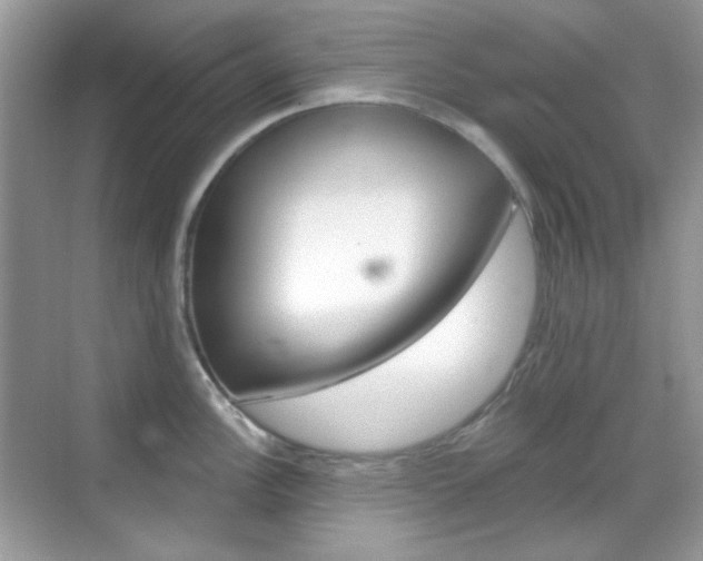 X0000069401148200605121016
