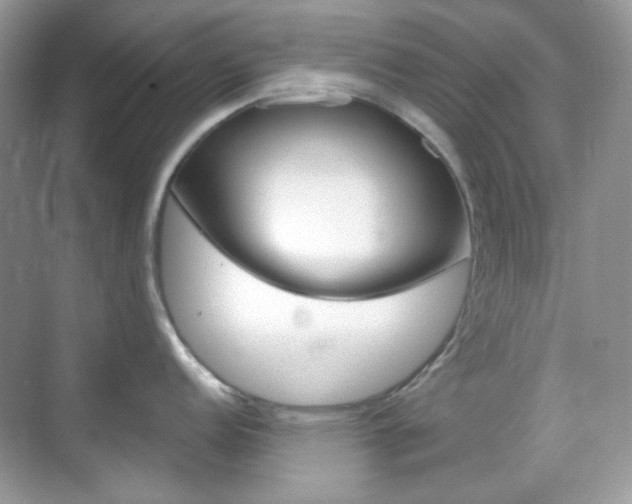 X0000069401152200605121016