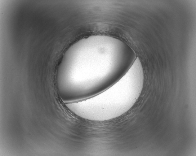 X0000069401153200605121016