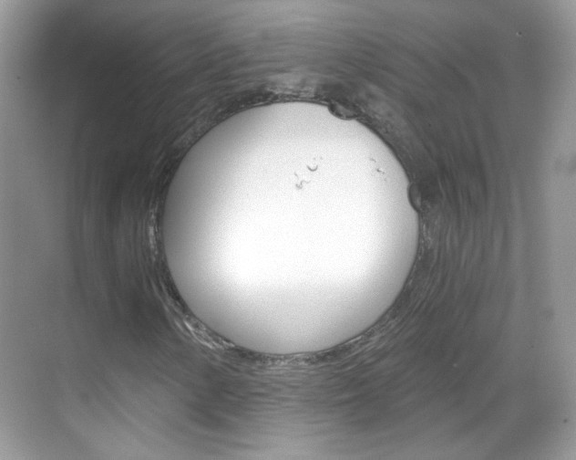 X0000069401154200605121016