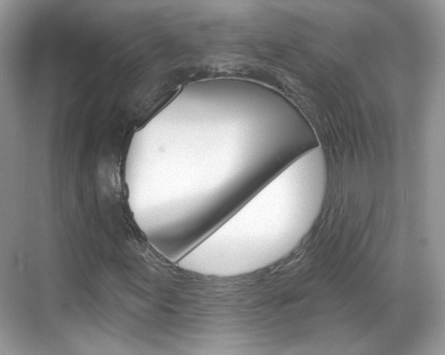 X0000069401155200605121016