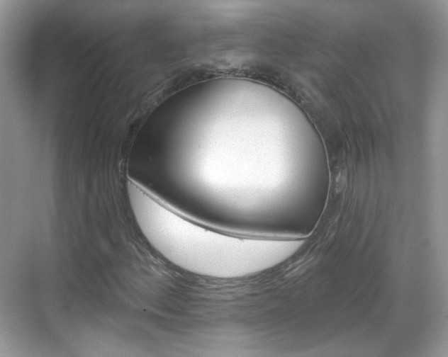X0000069401156200605121016